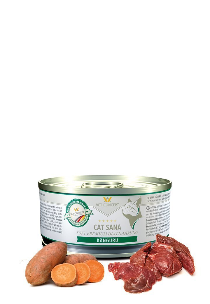Vet Concept Kissamenu Sana Känguru Kenguru