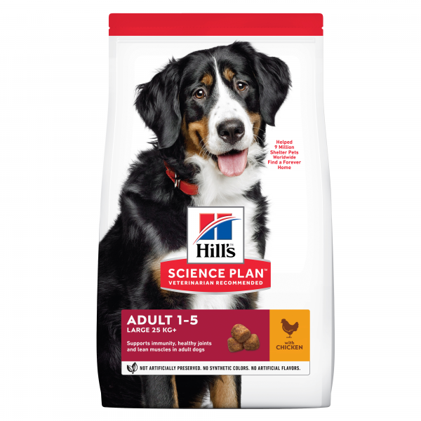 Hill's SP Adult Large with Chicken koiralle