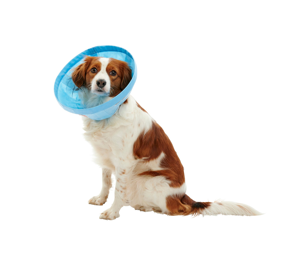 Buster Soft Flex pehmokauluri