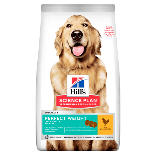Hill's SP Perfect Weight Large Adult with Chicken koiralle 12 kg