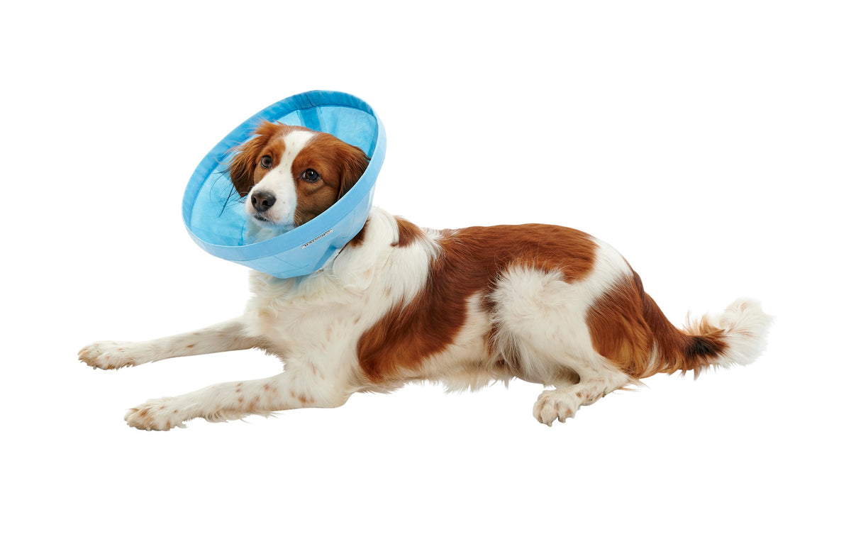 Buster Soft Flex pehmokauluri