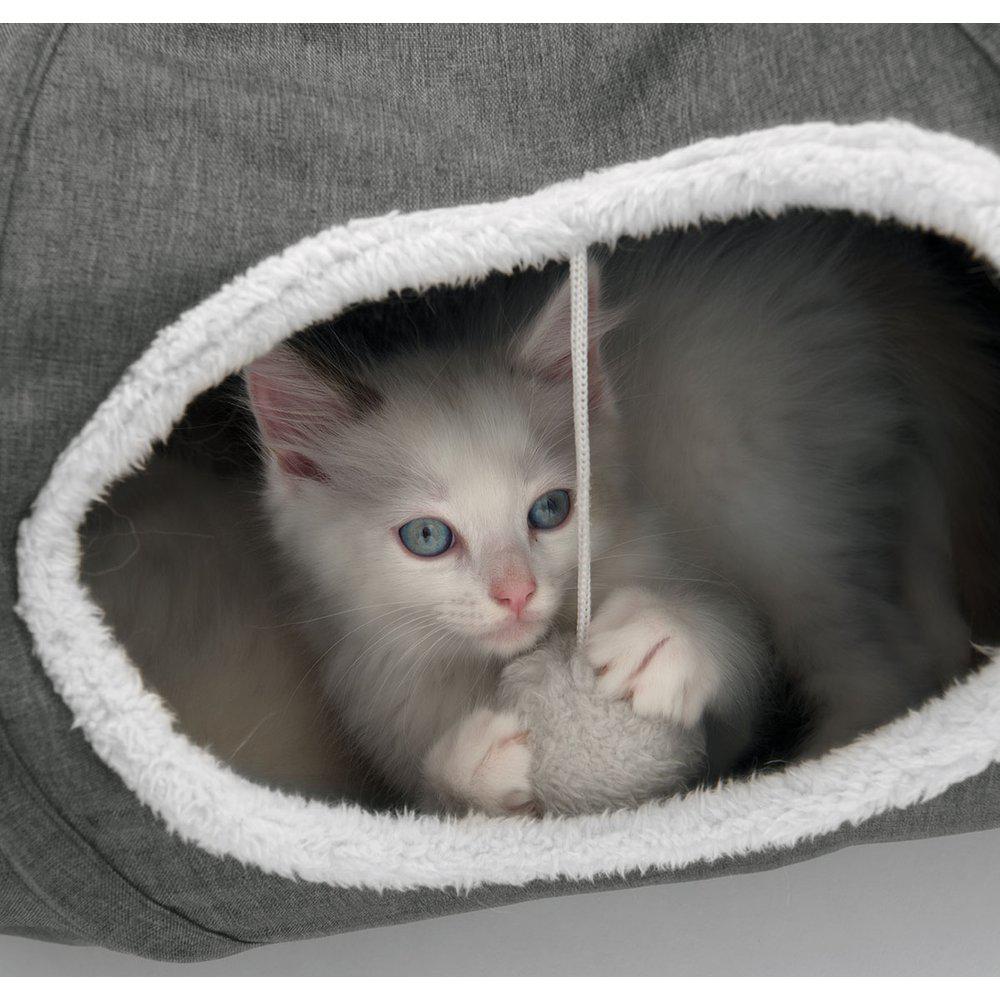 Catit kissantunneli Vesper